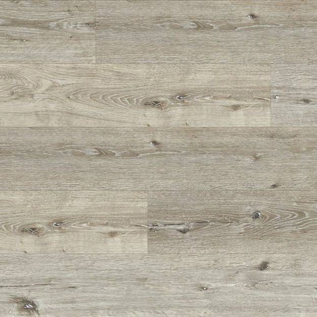 Weimaraner Oak